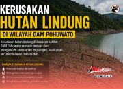 Aktivitas Tambang Emas Ilegal di Kawasan Hutan Lindung Pohuwato Kembali Disorot