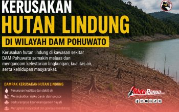 Aktivitas Tambang Emas Ilegal di Kawasan Hutan Lindung Pohuwato Kembali Disorot