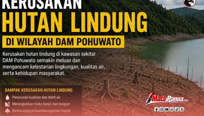 Aktivitas Tambang Emas Ilegal di Kawasan Hutan Lindung Pohuwato Kembali Disorot